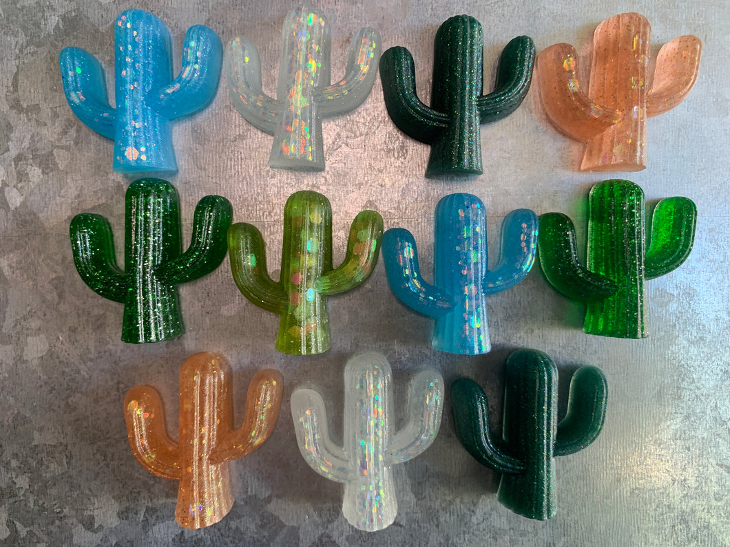 Cactus Magnet